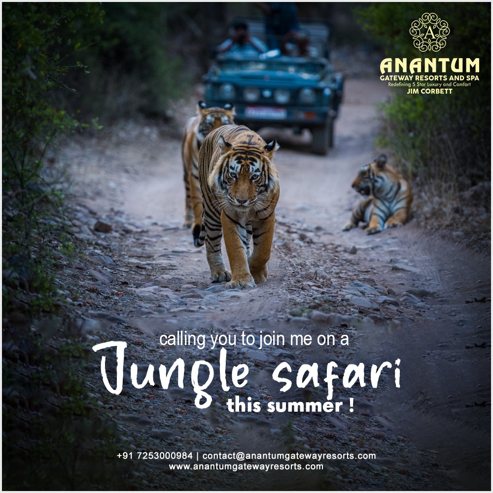 safari park resort in jim corbett