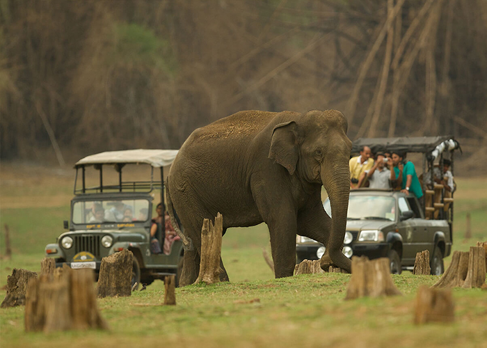 Corbett Resort