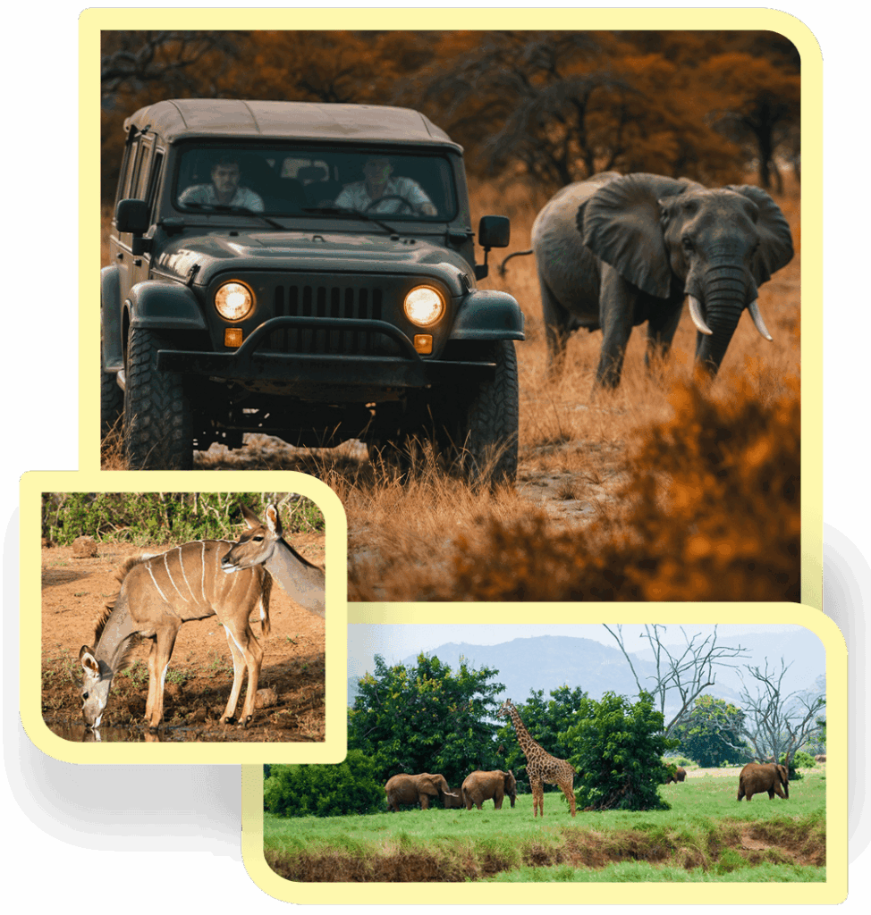 Dhela Safari Zone