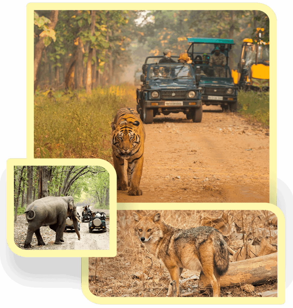 Durga Devi Safari Zone