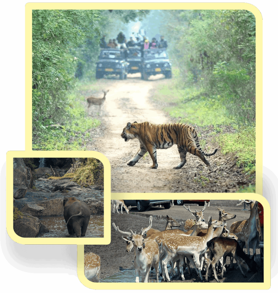 Jim Corbett Safari Zones