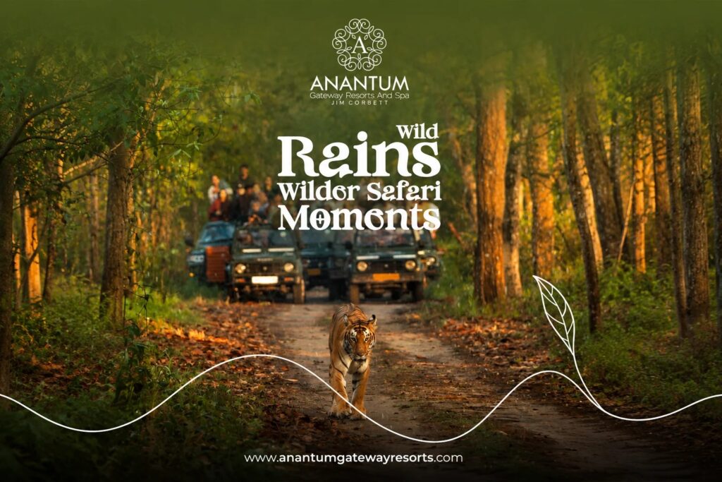 Jungle Safari in Jim Corbett