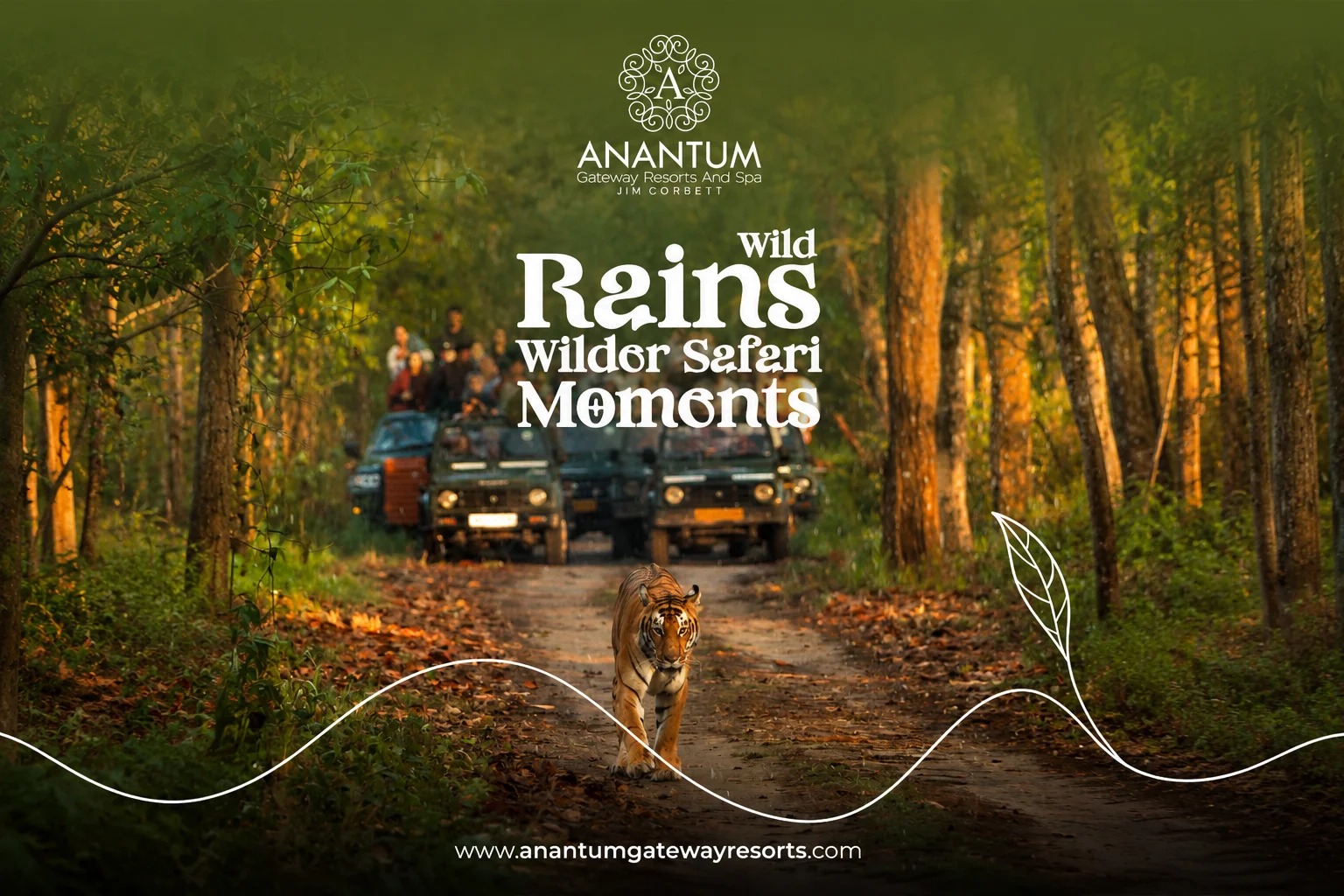 Jungle Safari in Jim Corbett