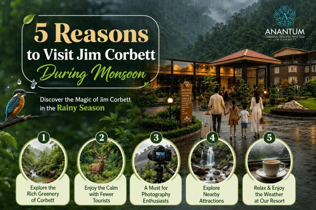 Monsoon Resort in Jim Corbett